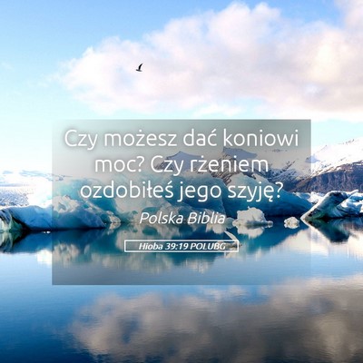 Picture 05 - Hioba 39:19 POLUBG - Czy możesz dać koniowi moc? Czy rżeniem - Bible Verse Picture