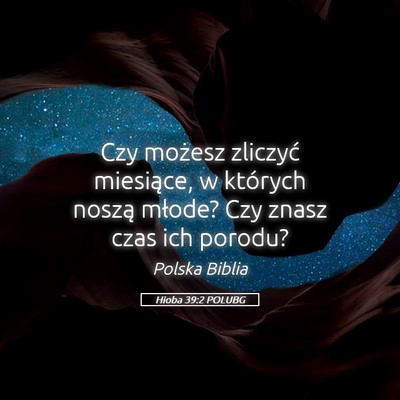 Picture 05 - Hioba 39:2 POLUBG - Czy możesz zliczyć miesiące, w których noszą - Bible Verse Picture