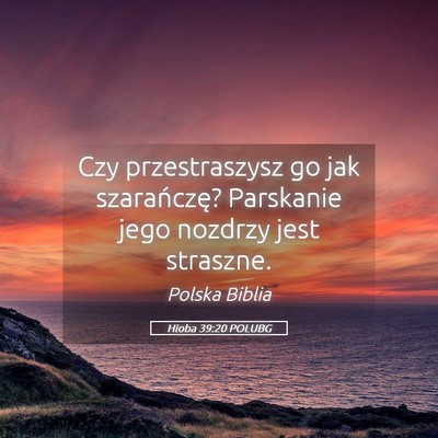 Picture 05 - Hioba 39:20 POLUBG - Czy przestraszysz go jak szarańczę? Parskanie - Bible Verse Picture