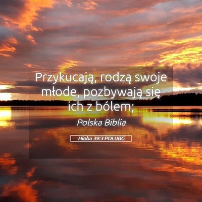 Picture 05 - Hioba 39:3 POLUBG - Przykucają, rodzą swoje młode, pozbywają się - Bible Verse Picture
