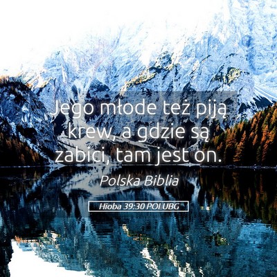 Picture 05 - Hioba 39:30 POLUBG - Jego młode też piją krew, a gdzie są zabici, - Bible Verse Picture
