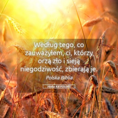 Picture 05 - Hioba 4:8 POLUBG - Według tego, co zauważyłem, ci, którzy orzą - Bible Verse Picture