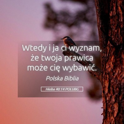 Picture 05 - Hioba 40:14 POLUBG - Wtedy i ja ci wyznam, że twoja prawica może - Bible Verse Picture