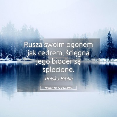 Picture 05 - Hioba 40:17 POLUBG - Rusza swoim ogonem jak cedrem, ścięgna jego - Bible Verse Picture
