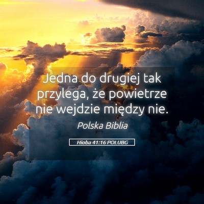 Picture 05 - Hioba 41:16 POLUBG - Jedna do drugiej tak przylega, że powietrze nie - Bible Verse Picture