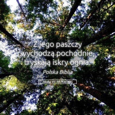 Picture 05 - Hioba 41:19 POLUBG - Z jego paszczy wychodzą pochodnie, tryskają - Bible Verse Picture