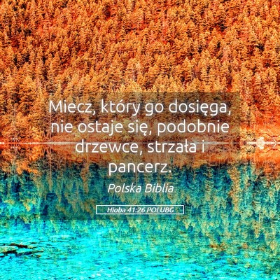 Picture 05 - Hioba 41:26 POLUBG - Miecz, który go dosięga, nie ostaje się, - Bible Verse Picture