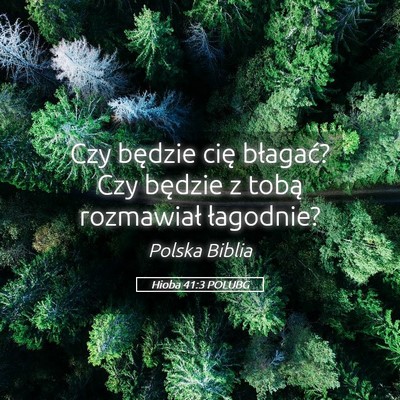 Picture 05 - Hioba 41:3 POLUBG - Czy będzie cię błagać? Czy będzie z tobą - Bible Verse Picture