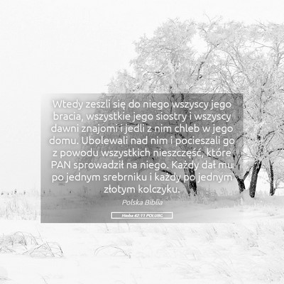 Picture 05 - Hioba 42:11 POLUBG - Wtedy zeszli się do niego wszyscy jego bracia, - Bible Verse Picture