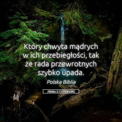 Picture 05 - Hioba 5:13 POLUBG - Który chwyta mądrych w ich przebiegłości, tak - Bible Verse Picture