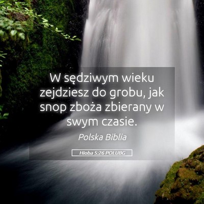 Picture 05 - Hioba 5:26 POLUBG - W sędziwym wieku zejdziesz do grobu, jak snop - Bible Verse Picture