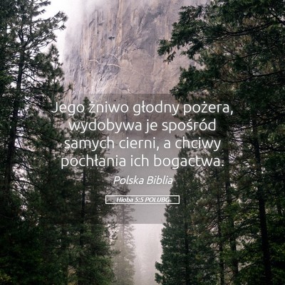 Picture 05 - Hioba 5:5 POLUBG - Jego żniwo głodny pożera, wydobywa je - Bible Verse Picture