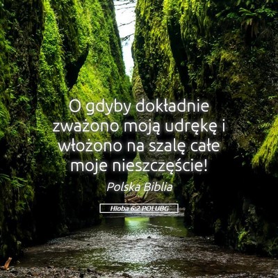 Picture 05 - Hioba 6:2 POLUBG - O gdyby dokładnie zważono moją udrękę i - Bible Verse Picture
