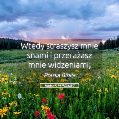 Picture 05 - Hioba 7:14 POLUBG - Wtedy straszysz mnie snami i przerażasz mnie - Bible Verse Picture