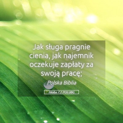 Picture 05 - Hioba 7:2 POLUBG - Jak sługa pragnie cienia, jak najemnik oczekuje - Bible Verse Picture