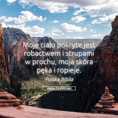 Picture 05 - Hioba 7:5 POLUBG - Moje ciało pokryte jest robactwem i strupami w - Bible Verse Picture