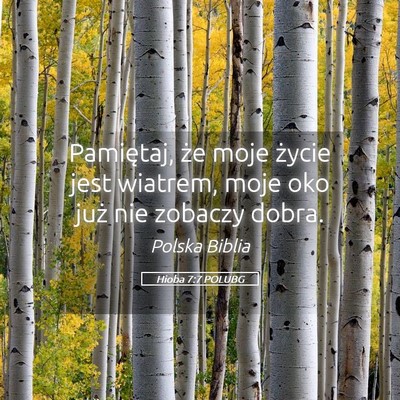 Picture 05 - Hioba 7:7 POLUBG - Pamiętaj, że moje życie jest wiatrem, moje oko - Bible Verse Picture