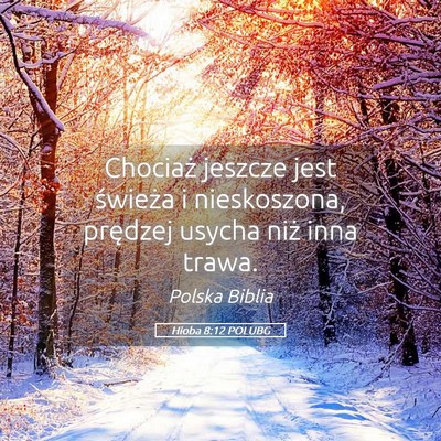 Picture 05 - Hioba 8:12 POLUBG - Chociaż jeszcze jest świeża i nieskoszona, - Bible Verse Picture