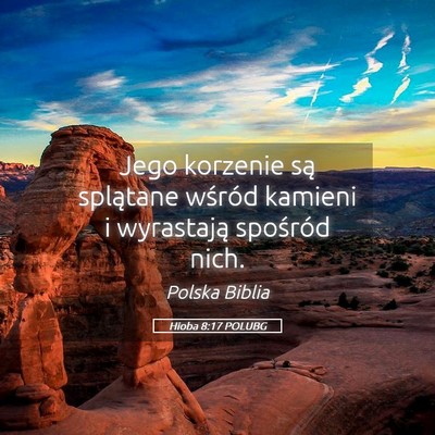 Picture 05 - Hioba 8:17 POLUBG - Jego korzenie są splątane wśród kamieni i - Bible Verse Picture