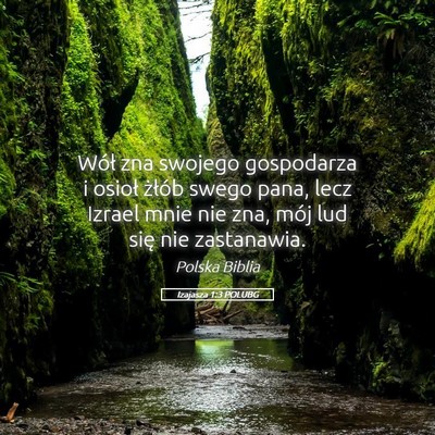 Picture 05 - Izajasza 1:3 POLUBG - Wół zna swojego gospodarza i osioł żłób - Bible Verse Picture
