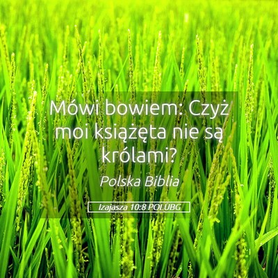 Picture 05 - Izajasza 10:8 POLUBG - Mówi bowiem: Czyż moi książęta nie są - Bible Verse Picture