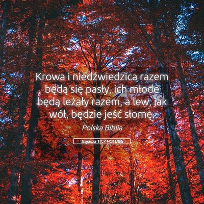 Picture 05 - Izajasza 11:7 POLUBG - Krowa i niedźwiedzica razem będą się pasły, - Bible Verse Picture