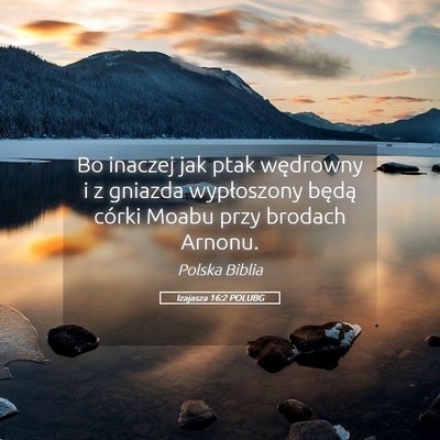 Picture 05 - Izajasza 16:2 POLUBG - Bo inaczej jak ptak wędrowny i z gniazda - Bible Verse Picture
