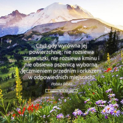 Picture 05 - Izajasza 28:25 POLUBG - Czyż gdy wyrówna jej powierzchnię, nie - Bible Verse Picture