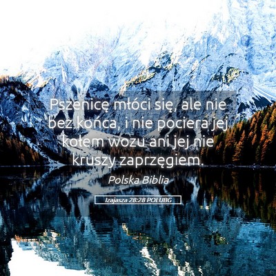 Picture 05 - Izajasza 28:28 POLUBG - Pszenicę młóci się, ale nie bez końca, i nie - Bible Verse Picture