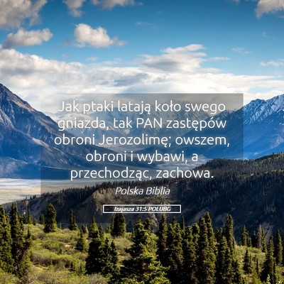 Picture 05 - Izajasza 31:5 POLUBG - Jak ptaki latają koło swego gniazda, tak PAN - Bible Verse Picture