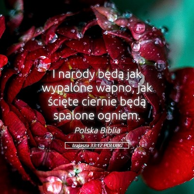 Picture 05 - Izajasza 33:12 POLUBG - I narody będą jak wypalone wapno; jak ścięte - Bible Verse Picture