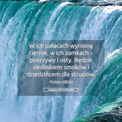 Picture 05 - Izajasza 34:13 POLUBG - W ich pałacach wyrosną ciernie, w ich zamkach - Bible Verse Picture