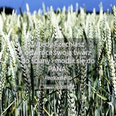 Picture 05 - Izajasza 38:2 POLUBG - Wtedy Ezechiasz odwrócił swoją twarz do - Bible Verse Picture