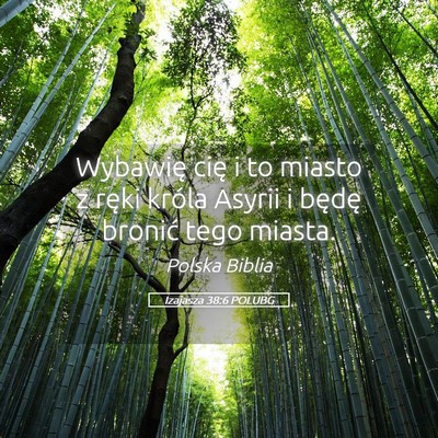 Picture 05 - Izajasza 38:6 POLUBG - Wybawię cię i to miasto z ręki króla Asyrii i - Bible Verse Picture