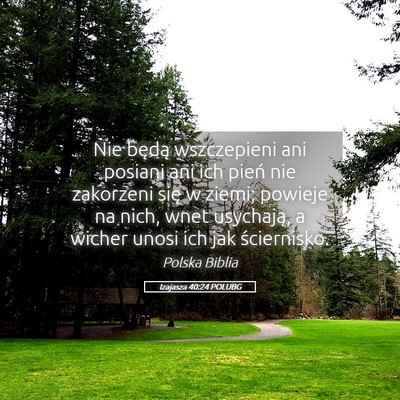 Picture 05 - Izajasza 40:24 POLUBG - Nie będą wszczepieni ani posiani ani ich pień - Bible Verse Picture