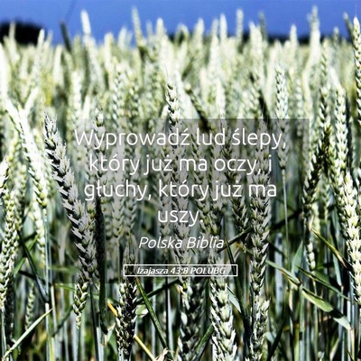 Picture 05 - Izajasza 43:8 POLUBG - Wyprowadź lud ślepy, który już ma oczy, i - Bible Verse Picture