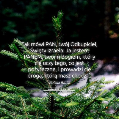 Picture 05 - Izajasza 48:17 POLUBG - Tak mówi PAN, twój Odkupiciel, Święty - Bible Verse Picture