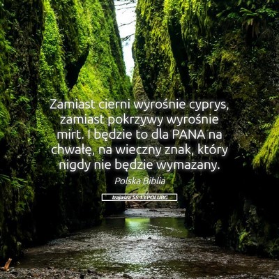 Picture 05 - Izajasza 55:13 POLUBG - Zamiast cierni wyrośnie cyprys, zamiast pokrzywy - Bible Verse Picture