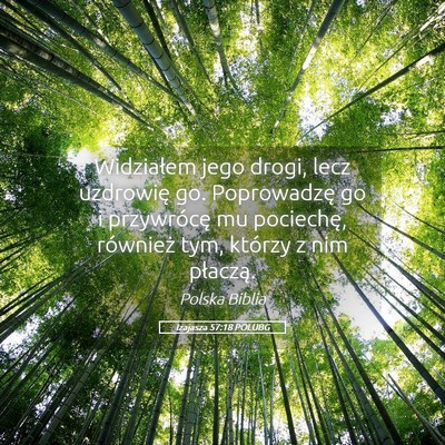 Picture 05 - Izajasza 57:18 POLUBG - Widziałem jego drogi, lecz uzdrowię go. - Bible Verse Picture