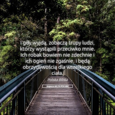 Picture 05 - Izajasza 66:24 POLUBG - I gdy wyjdą, zobaczą trupy ludzi, którzy - Bible Verse Picture