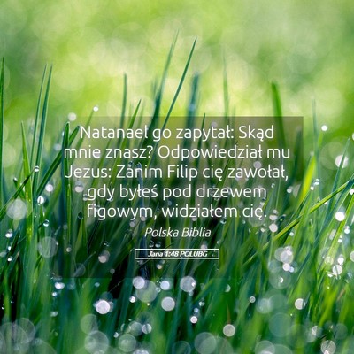 Picture 05 - Jana 1:48 POLUBG - Natanael go zapytał: Skąd mnie znasz? - Bible Verse Picture