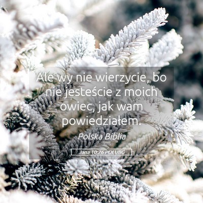Picture 05 - Jana 10:26 POLUBG - Ale wy nie wierzycie, bo nie jesteście z moich - Bible Verse Picture