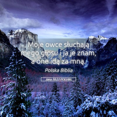 Picture 05 - Jana 10:27 POLUBG - Moje owce słuchają mego głosu i ja je znam, a - Bible Verse Picture