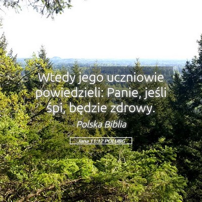 Picture 05 - Jana 11:12 POLUBG - Wtedy jego uczniowie powiedzieli: Panie, jeśli - Bible Verse Picture