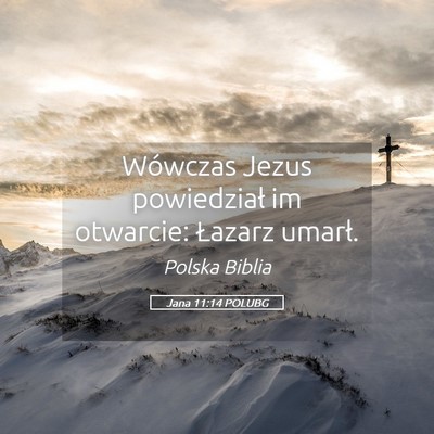 Picture 05 - Jana 11:14 POLUBG - Wówczas Jezus powiedział im otwarcie: Łazarz - Bible Verse Picture