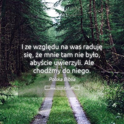 Picture 05 - Jana 11:15 POLUBG - I ze względu na was raduję się, że mnie tam - Bible Verse Picture