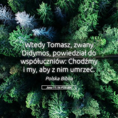 Picture 05 - Jana 11:16 POLUBG - Wtedy Tomasz, zwany Didymos, powiedział do - Bible Verse Picture