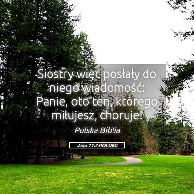 Picture 05 - Jana 11:3 POLUBG - Siostry więc posłały do niego wiadomość: - Bible Verse Picture