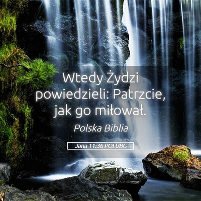 Picture 05 - Jana 11:36 POLUBG - Wtedy Żydzi powiedzieli: Patrzcie, jak go - Bible Verse Picture