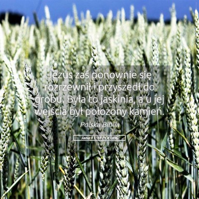 Picture 05 - Jana 11:38 POLUBG - Jezus zaś ponownie się rozrzewnił i przyszedł - Bible Verse Picture